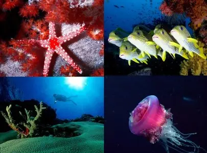 Deep Water - Wallpapers