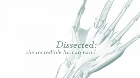 BBC - Dissected (2014)