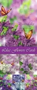 Stock Photo - Lilac Flowers Cards