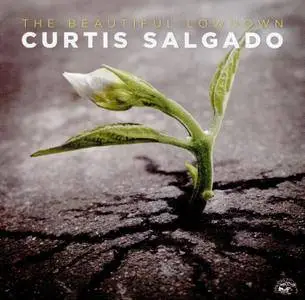 Curtis Salgado - The Beautiful Lowdown (2016)