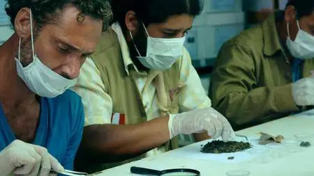 Science Channel - Unearthed: Lost Pyramids of the Americas (20178)