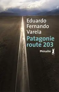Eduardo Fernando, "Patagonie route 203"