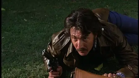 Straight Time (1978)