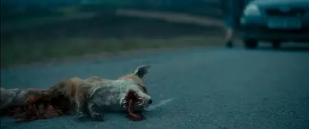 Broken Bird (2024)