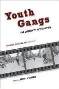 Youth Gangs and Community Intervention: Research, Practice, and Evidence