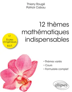 12 thèmes mathématiques indispensables - Thierry Rougé, Patrick Cabau