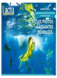 L'Actu - 23 Novembre 2024