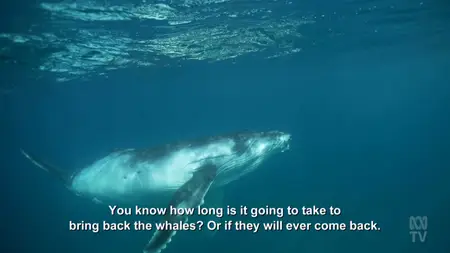 Four Corners: Race to the Bottom (2025)