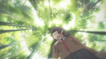 Seishun Buta Yarou wa Santa Claus no Yume wo Minai - 03 (1080p