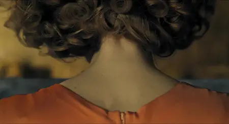 Der Vampir auf der Couch / Therapy for a Vampire (2014)