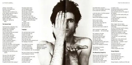 Peter Hammill - The Future Now - 1978 (2006)