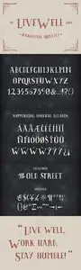 Font OTF - Livewell Typeface
