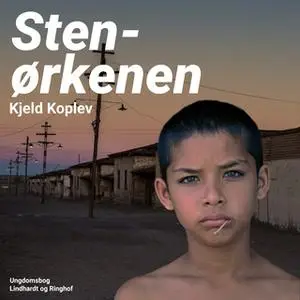 «Stenørkenen» by Kjeld Koplev