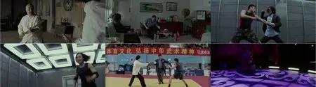 Man of Tai Chi (2013)