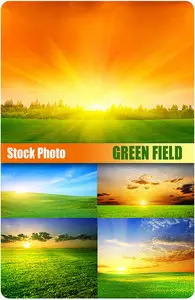 UHQ Stock Photo - Green fields