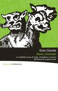 Enzo Ciconte - Storia criminale