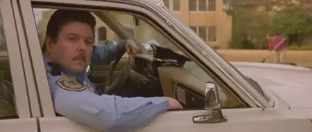 The Beautiful Country (2004)