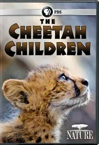 PBS - NATURE: The Cheetah Children (2017)