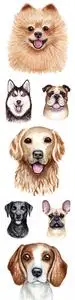 Popular dog of different breed watercolor illustrations