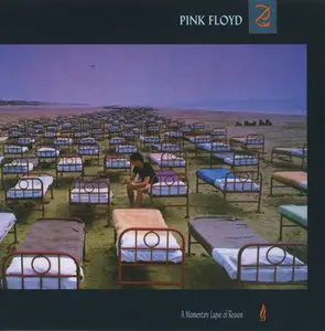 Pink Floyd - Oh By The Way: Boxset (2007) Re-up