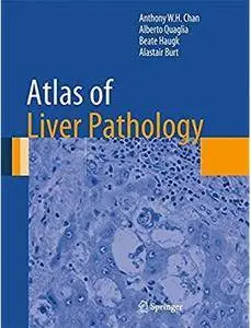 Atlas of Liver Pathology [Repost]