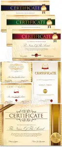 Certificate vector 6