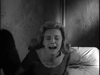Something Wild (1961)