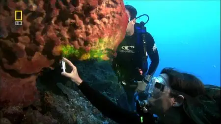 National Geographic - The Shape of Life: Origins (2002)