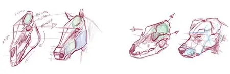 How to Draw Animals - G. Vilppu