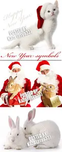 Santa - Cat - Rabbit