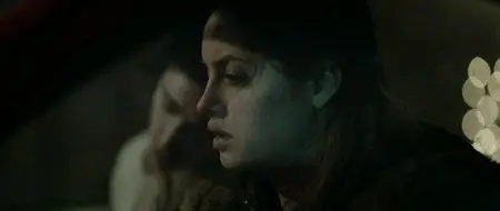 Il Capitale Umano (2013)