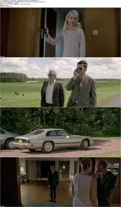 Borgman (2013)