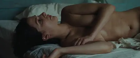 In the Land of Blood and Honey [Au pays du Sang et du Miel] 2011