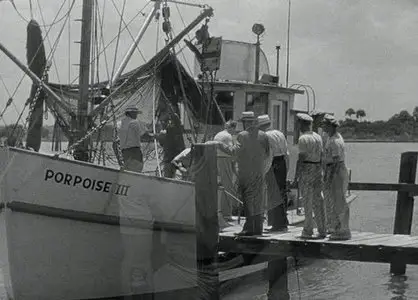 Revenge of the Creature (1955)