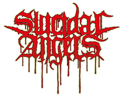 Suicidal Angels - Division Of Blood (2016) [Limited Edition, CD+DVD]