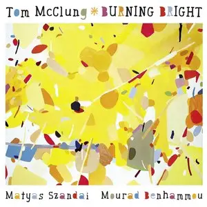 Tom McClung - Burning Bright (2015)