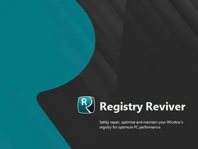 ReviverSoft Registry Reviver 4.8.0.20 Multilingual (x86/x64) Portable