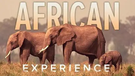 African Experience: From "Lucy" to Mandela