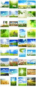 Super nature collection. All my posts