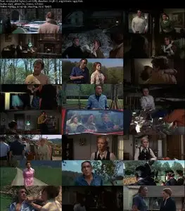 A Walk in the Spring Rain (1970) 