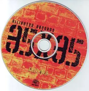 VA - Alligator Records 35X35: 35 songs, 35 Years Of Genuine Houserockin' Music (2006)