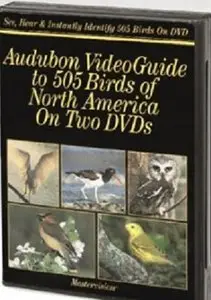 Audubon Video Guide To 505 Birds Of North America