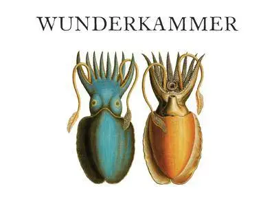 ACRONYM Ensemble - Wunderkammer (2016) {New Focus Recordings FCR906 Official Digital Download}