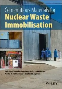 Cementitious Materials for Nuclear Waste Immobilization