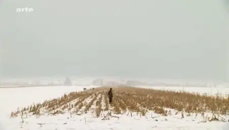 (Arte) Toute la vérité sur Dracula (2011)