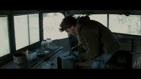 Into the Wild (2007)