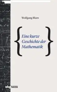Eine kurze Geschichte der Mathematik - Wolfgang Blum