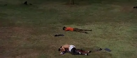 The Big Boss (1971)