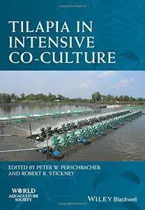 Tilapia in Intensive Co-culture
