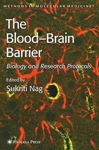 Blood'Brain Barrier: Biology and Research Protocols (Methods in Molecular Medicine) (Methods in Molecular Biology)